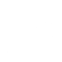 Ozone Therapy