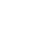 Pulsed Electro-Magnetic Field