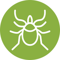 Lyme & co-infections: At Maine Natural Medicine...